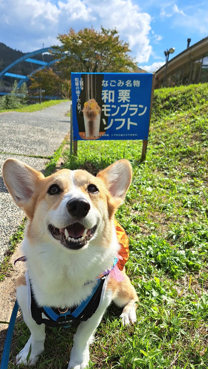 コジとしんのかぁしゃん(kazu) tweet media