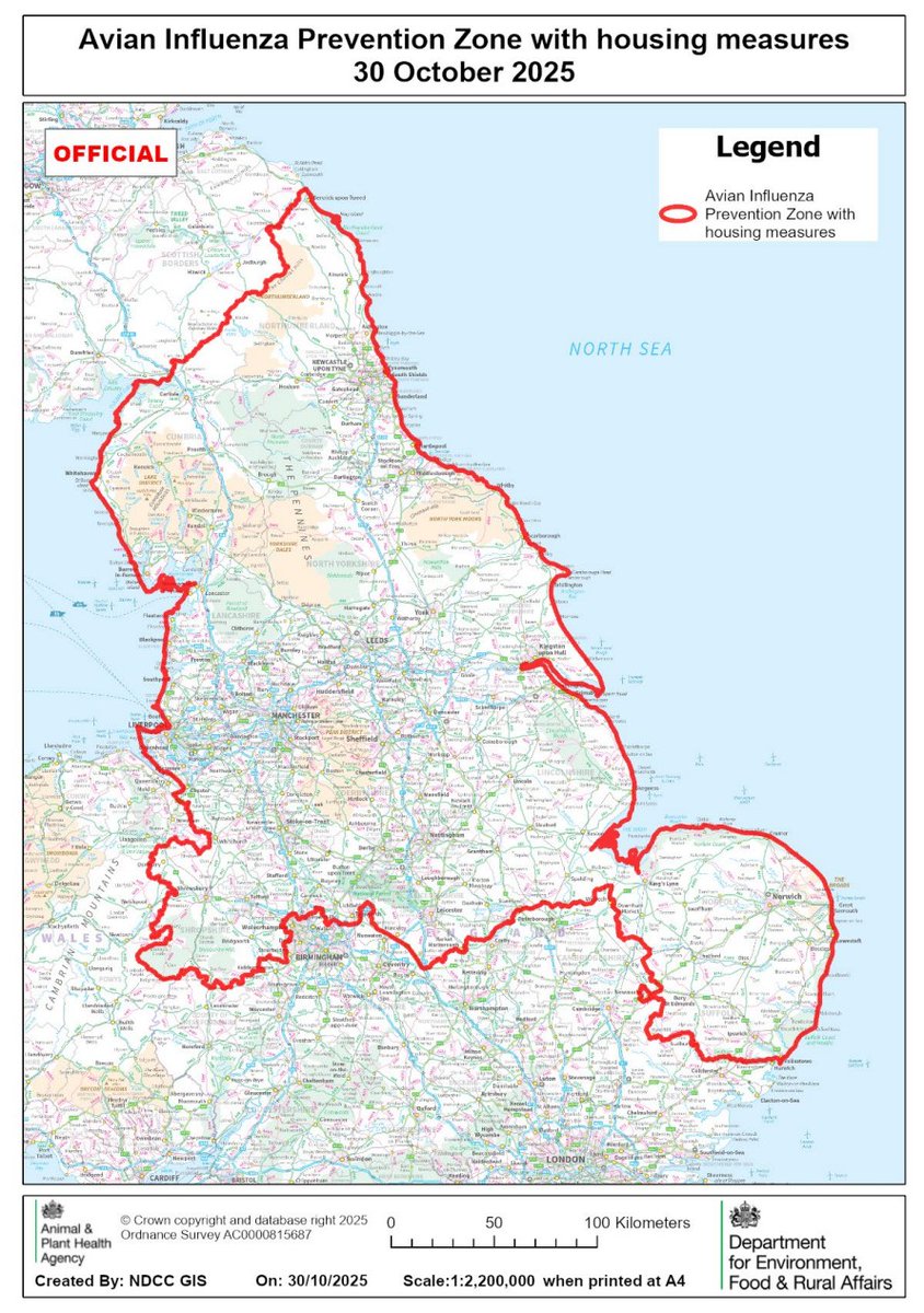 RaptorPersUK's tweet image. Defra announces new measures as Highly Pathogenic Avian Influenza (Bird Flu) cases rise again.

Current outbreaks in England (9), Wales (1) &amp;amp; N Ireland (1).

New blog ⬇️⬇️

raptorpersecutionuk.org/2025/10/29/def…