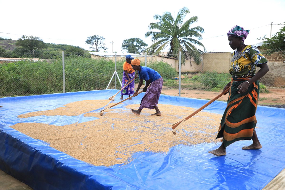 Contre la Faim et la Malnutrition tweet media