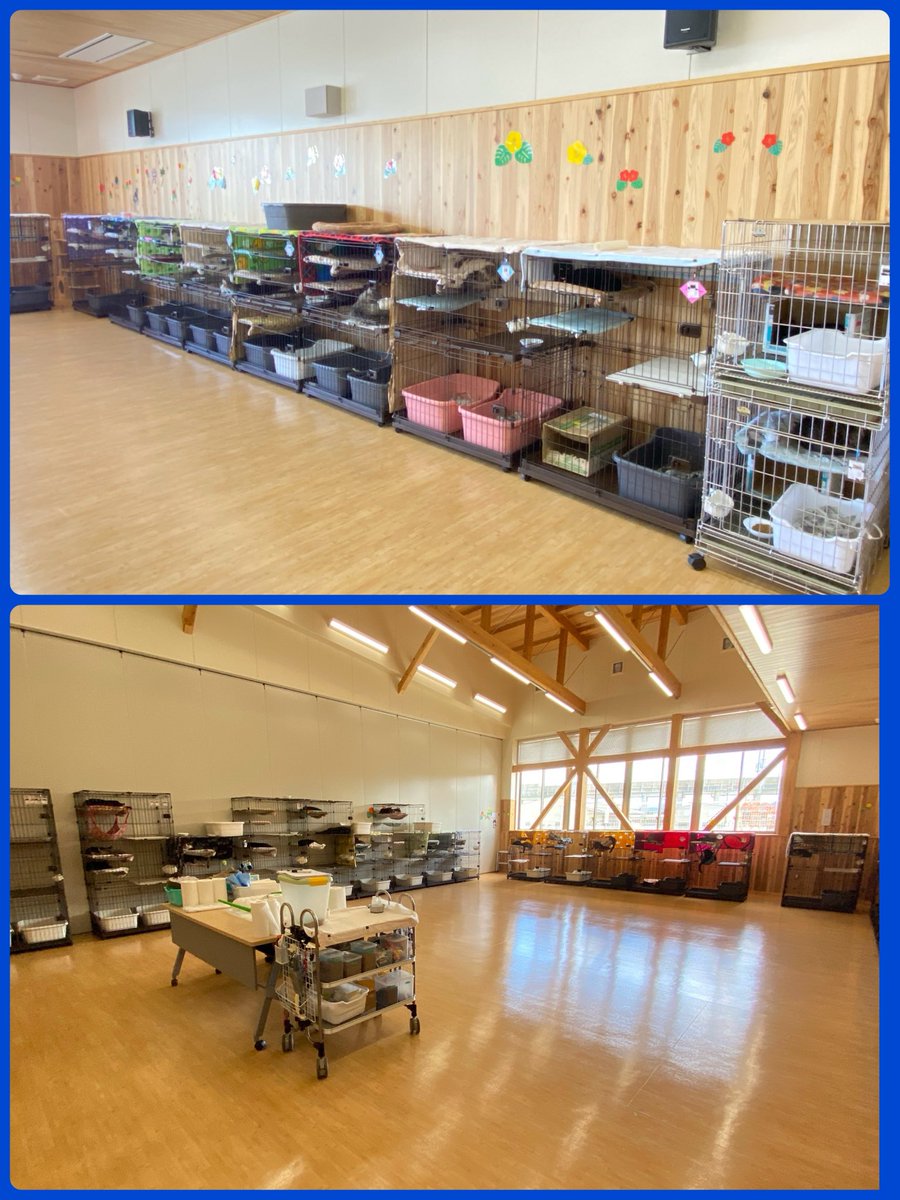 レスキューさくら会 on X