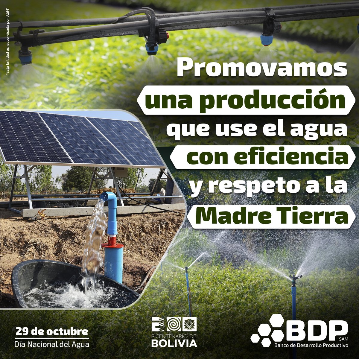 #SomosBDPsam | En este Día Nacional del Agua, te invitamos a sumarte a nuestro compromiso con el cuidado del agua☺️🤝

Queremos contribuir a la sostenibilidad ambiental, mediante el uso eficiente y responsable del agua 💦🪣