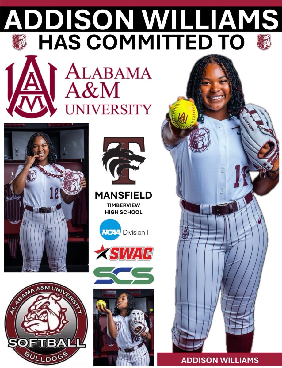 EXCEL ELITE 🥎 tweet media