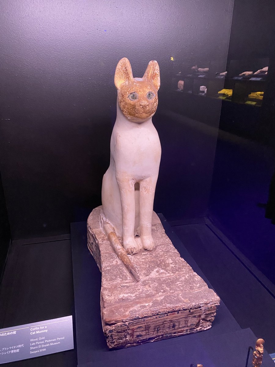 パーツショップイノー&キョンくん on X パーツショップイノー&キョンくん on X