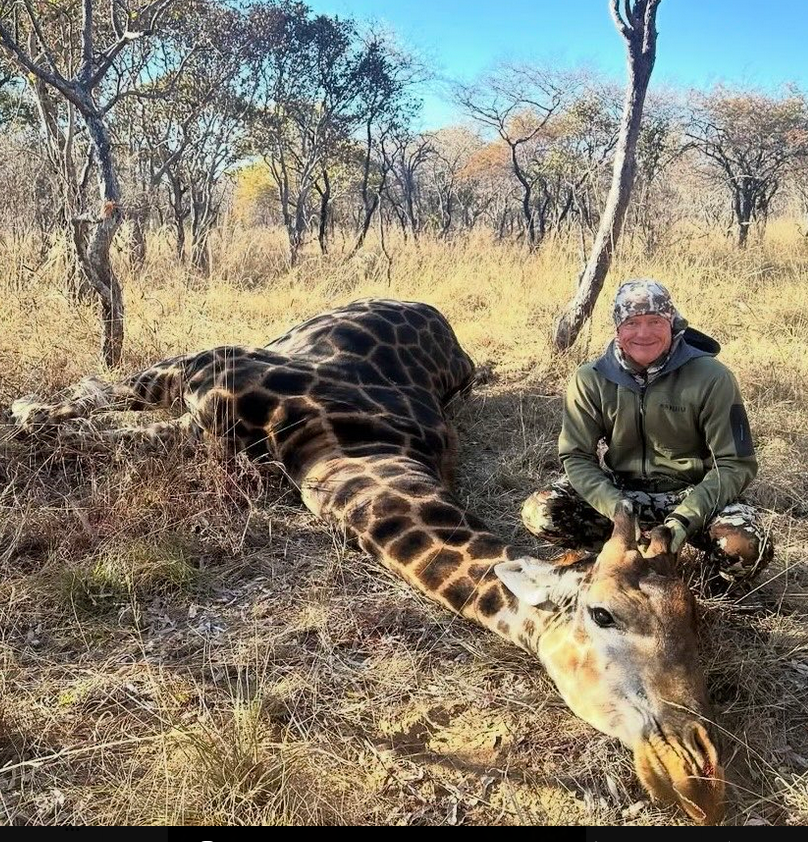 ¿Qué clase de persona sonríe después de haber tiroteado a un animal indefenso? 😳

La caza de "trofeos" destruye la biodiversidad con la excusa de la generación de riqueza. Es FALSO, el dinero se lo quedan los terratenientes.