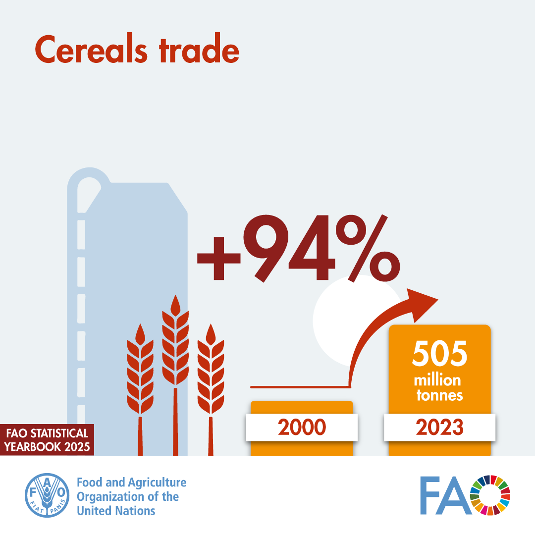 The Statistical Yearbook : World Food and Agriculture 2025 is out!

Learn more about the significant 📈 of 🌎 cereals trade since 2000 ... &amp; much more!

Download YOUR copy today👇

📕doi.org/10.4060/cd4313…