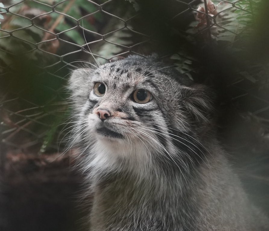 Yoshi.teru416🥚 on X