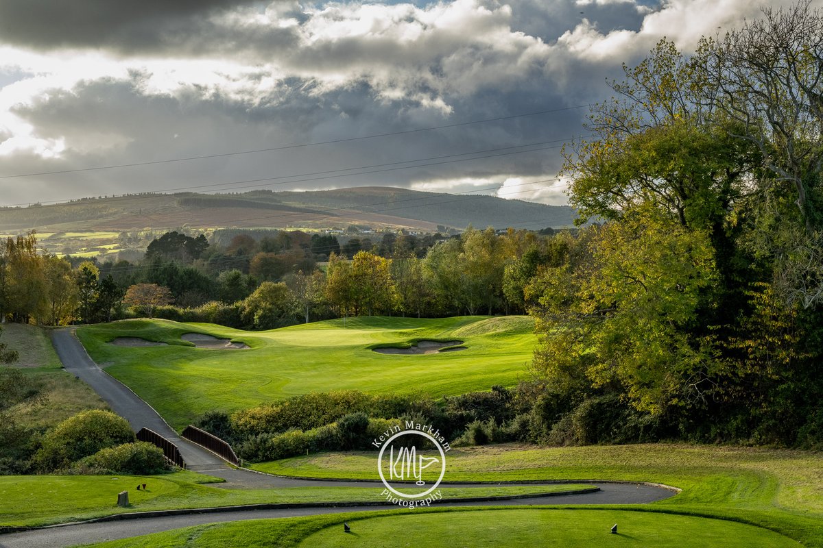 Kevin Markham tweet media