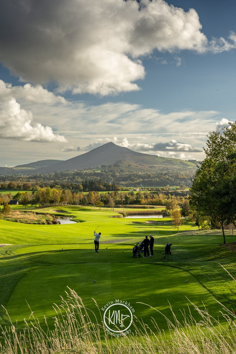 Kevin Markham tweet media