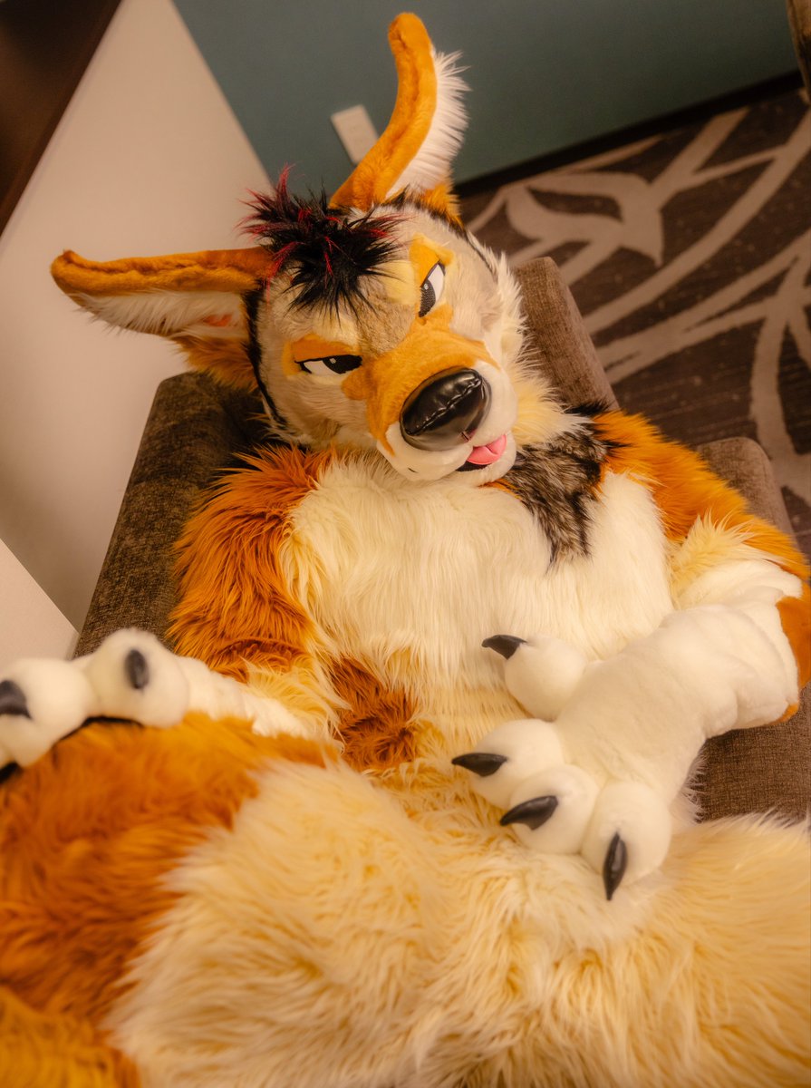 velochups's tweet image. 