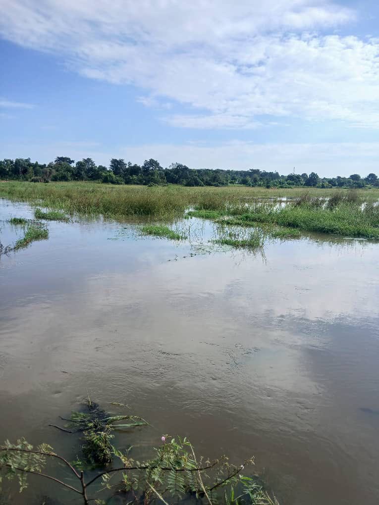 Today I raised the issues about the effect of heavy rainfall which has flooded three bridges limiting access to my Constituency of Otuke and Otuke , Abim , Agago and  Karamoja Districts . The Minister of Works <a href="/GenWamala/">General Edward Katumba Wamala</a> promised to take action a moment the floods   disperse .