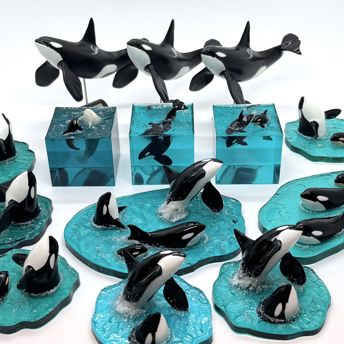 しゃちまみれ (@shachimamire) / Posts / X