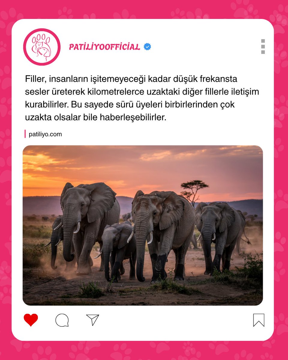 Gerçekten inanılmaz