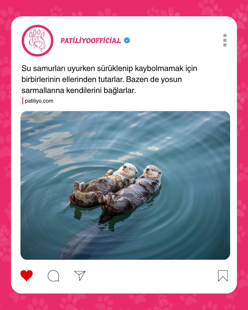 Tam bir aşk hikayesi... çok tatılar ama