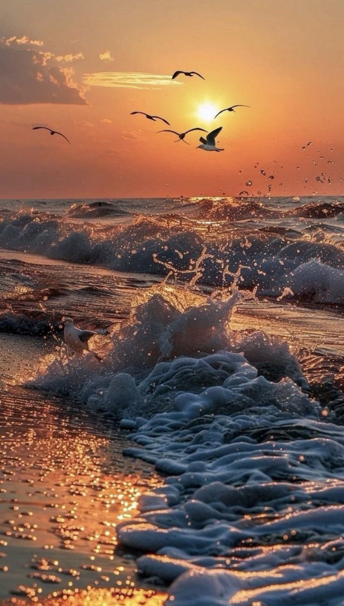 Abo Nasser tweet media