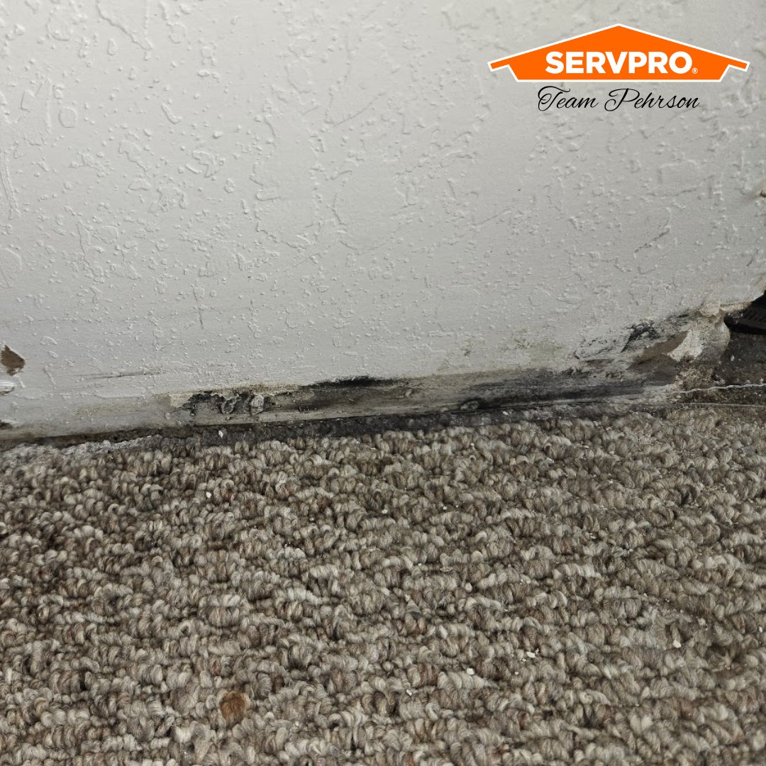 In northern Minnesota’s unique climate, mold can stem from various sources like excess moisture or poor ventilation, posing risks to your property and health. When mold becomes a problem, professional remediation is crucial for safety and effectiveness. 

Call SERVPRO today!