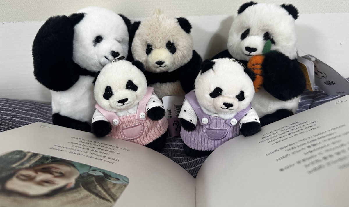 ㅎㅇ♡ㅁㅇ 김복보 on X