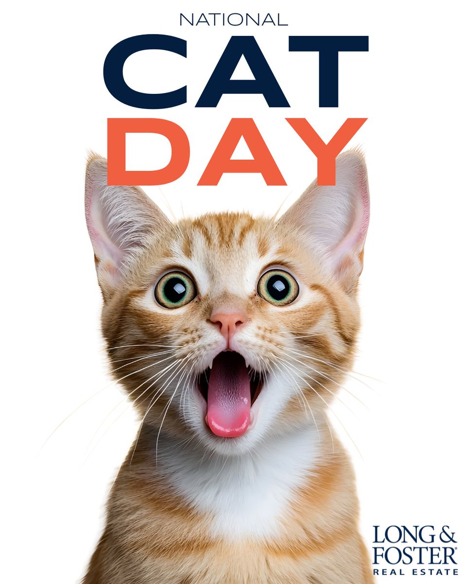 It's National Cat Day! The purr-fect day to celebrate our feline friends that help make a house a home. 😻