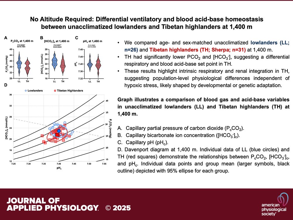 japplphysiol's tweet image. Short Report by NV Bushfield et al. (@trevoraday @BoutenJanne) No #altitude required: differential #ventilatory and #bloodacid-base #homeostasis between #unacclimatized lowlanders and #Tibetan highlanders at 1,400 m
ow.ly/43eC50XbQF1