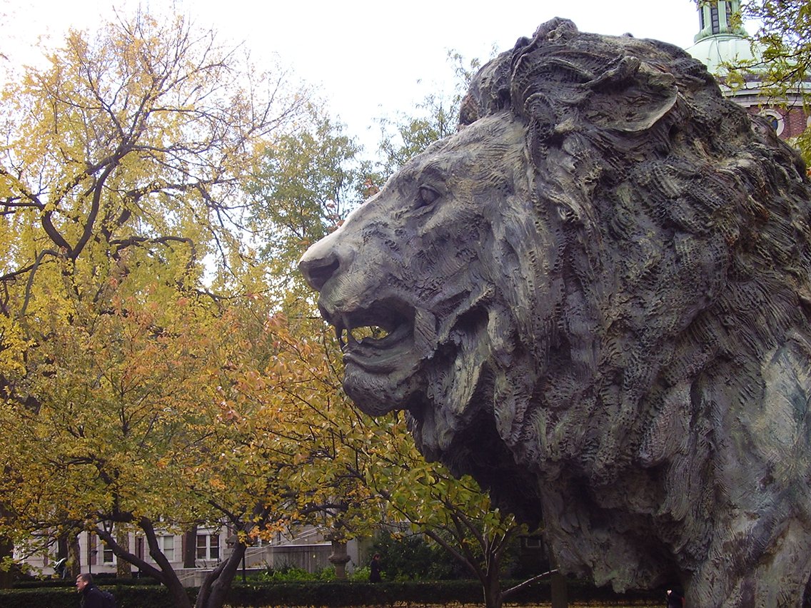 Wow! What a month!

As October comes to a close, all of us at CVTI are feeling humbled and full of gratitude for the support of our community, especially during Columbia Giving Day. 

Thanks to everyone who gave so generously!