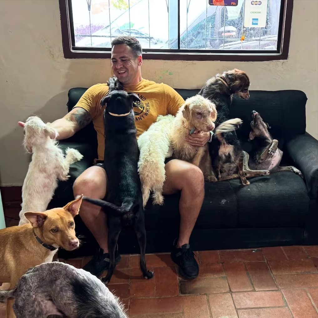 delpynews's tweet image. ▶️PORQUE ELLOS SE LO MERECEN | ​​​🥺

Policía rescatista defendió su trabajo de investigación de Especialista en Seguridad Pública y planteó la creación de una unidad especializada contra el maltrato animal. 🐶🐈

👮Carlos Miguel Ruiz dedicó su obra a los animales de su refugio y…