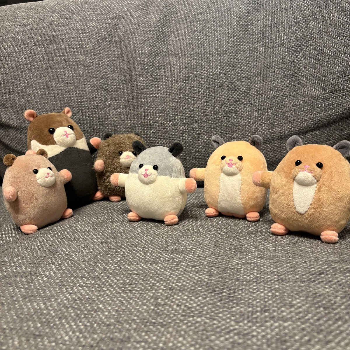 HAMCUS ハムカス size2 ※相場最安値 ※希少 heliot emil HAMCUS ハムカス size2 ※相場最安値 ※希少 heliot emil