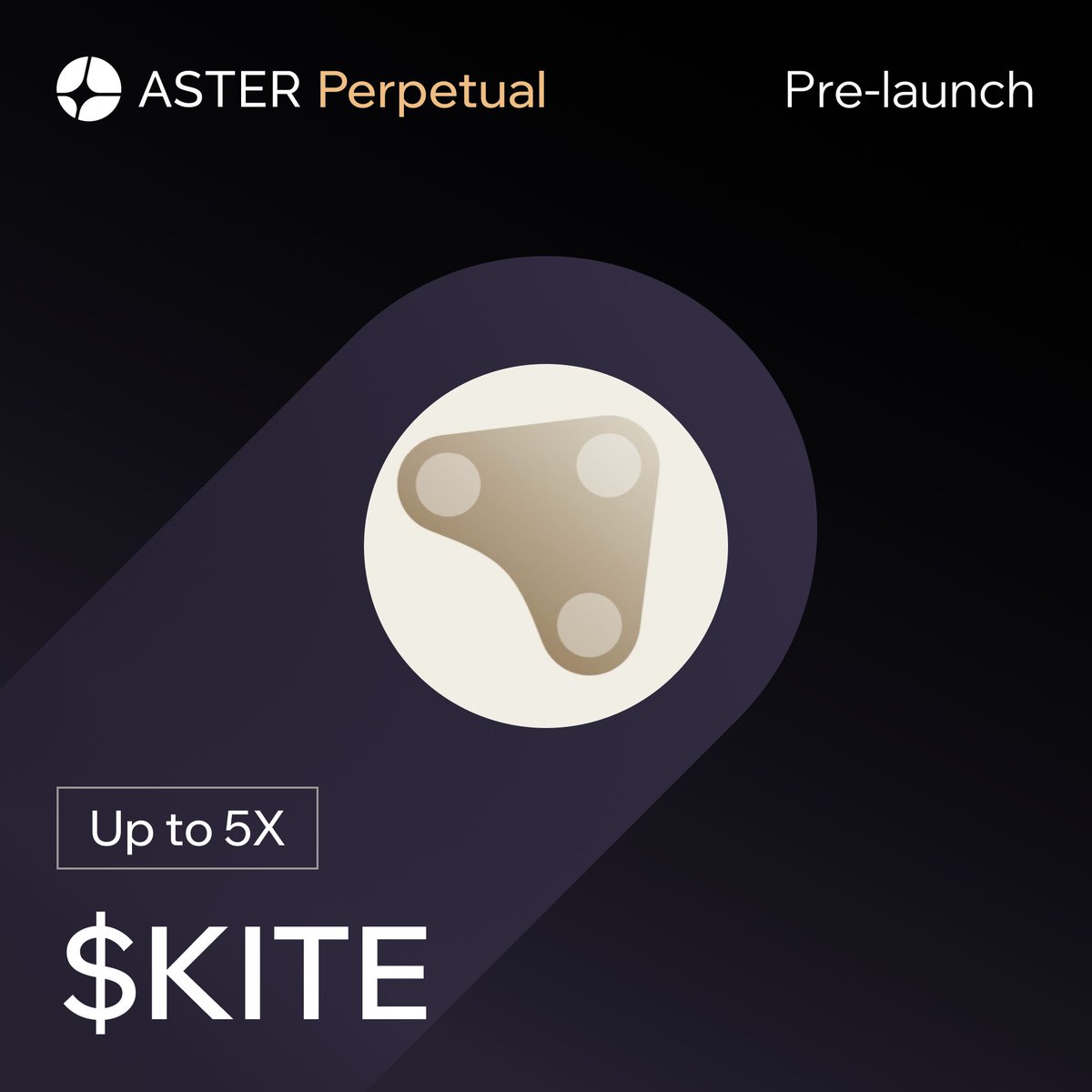 Aster 🥷 tweet media