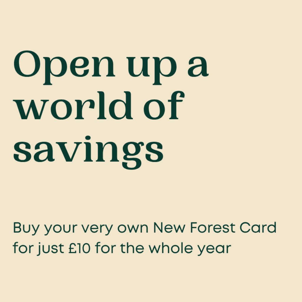 🌿 Discover more, spend less 🌿

With a New Forest Card, you’ll unlock hundreds of discounts at local pubs, restaurants, shops, attractions, and places to stay — all for just £10 a year.

👉 Get your card today: bit.ly/4o2Z50y