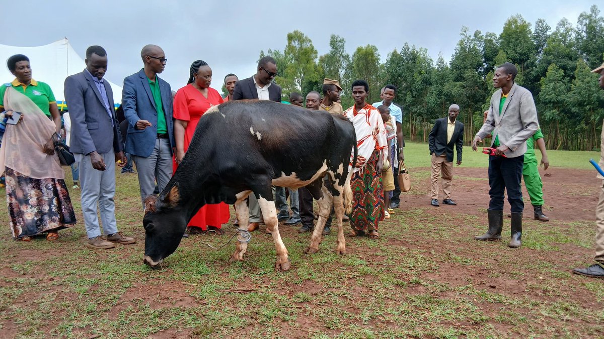 AnnonciataB's tweet photo. @KayonzaDistrict 16k trained in the #KIIWP project through #GALS has aim to end domestic violence. Today 500 trainees of #GALS graduate including 65 couples made civil marriage. Also launched IWANJYE HEZA HARUTA AHANDI ni mu MURYANGO campaign.
@RwandaEast #GenderEquity
#RAB #SPIU https://t.co/HWH2tCvtSw