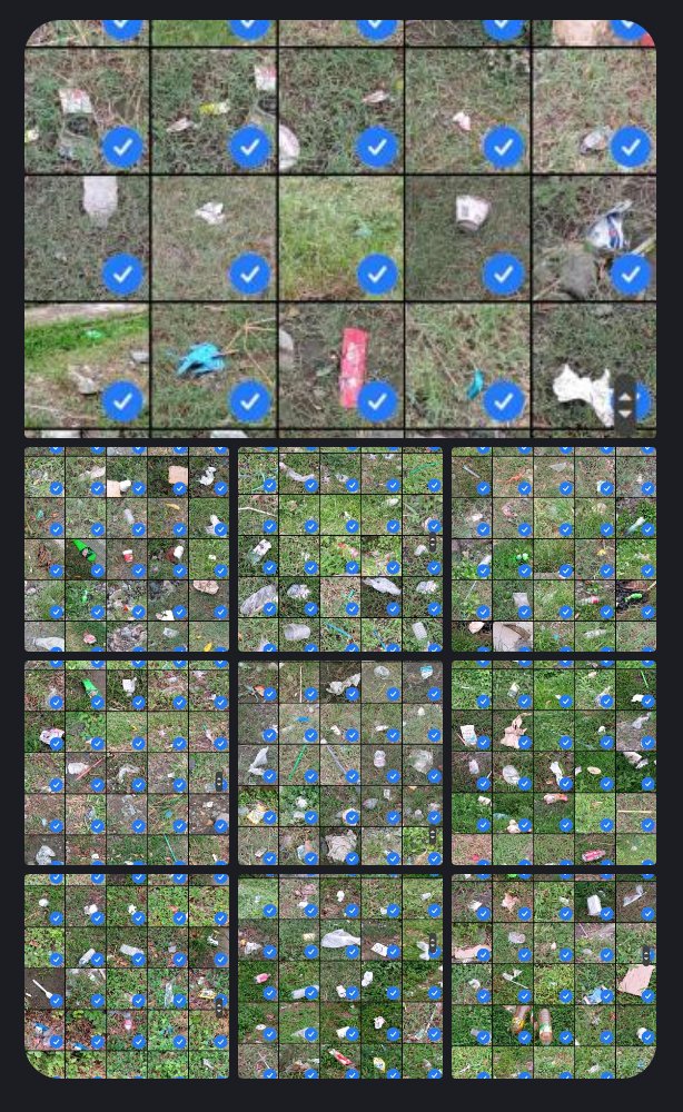 Litter Token ($LTK) 🌱 tweet media