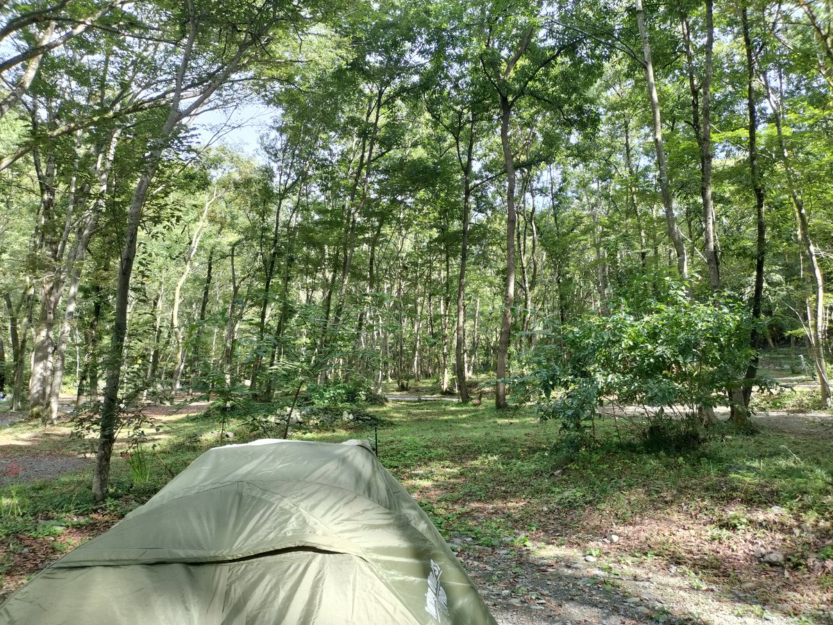 ⭐︎EITOです。 爆速七桁│イラストプロデューサー系Vtuber on X