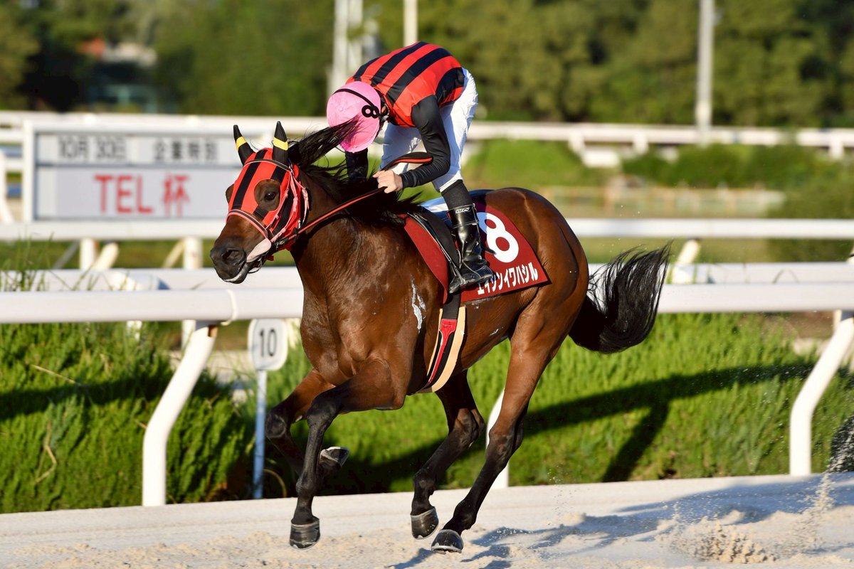 ゆうき🏇🏎️🐍🐉🐬 (@youki19771121) / Posts / X