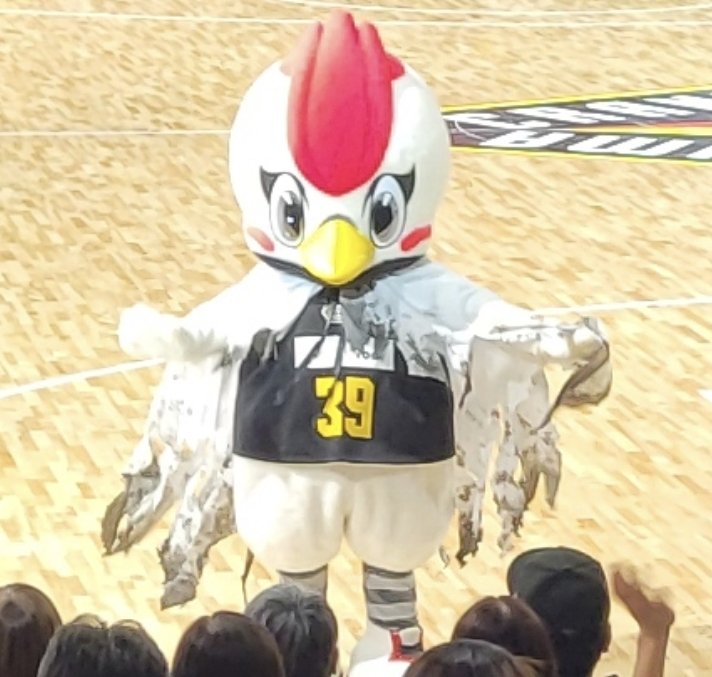 thunders_39's tweet image. 前半良かっただけに悔しー!!
とりあえずサンダくんに癒されよう…
#群馬クレインサンダーズ
#次は勝つ