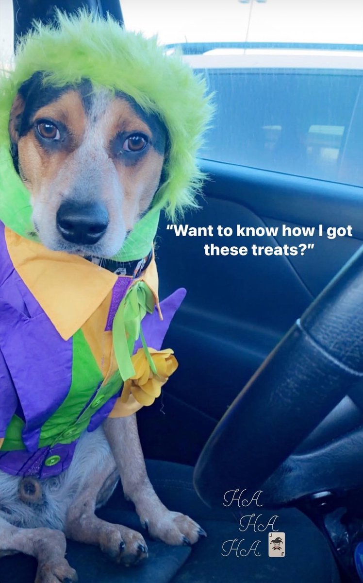 One of Bruce’s best costumes