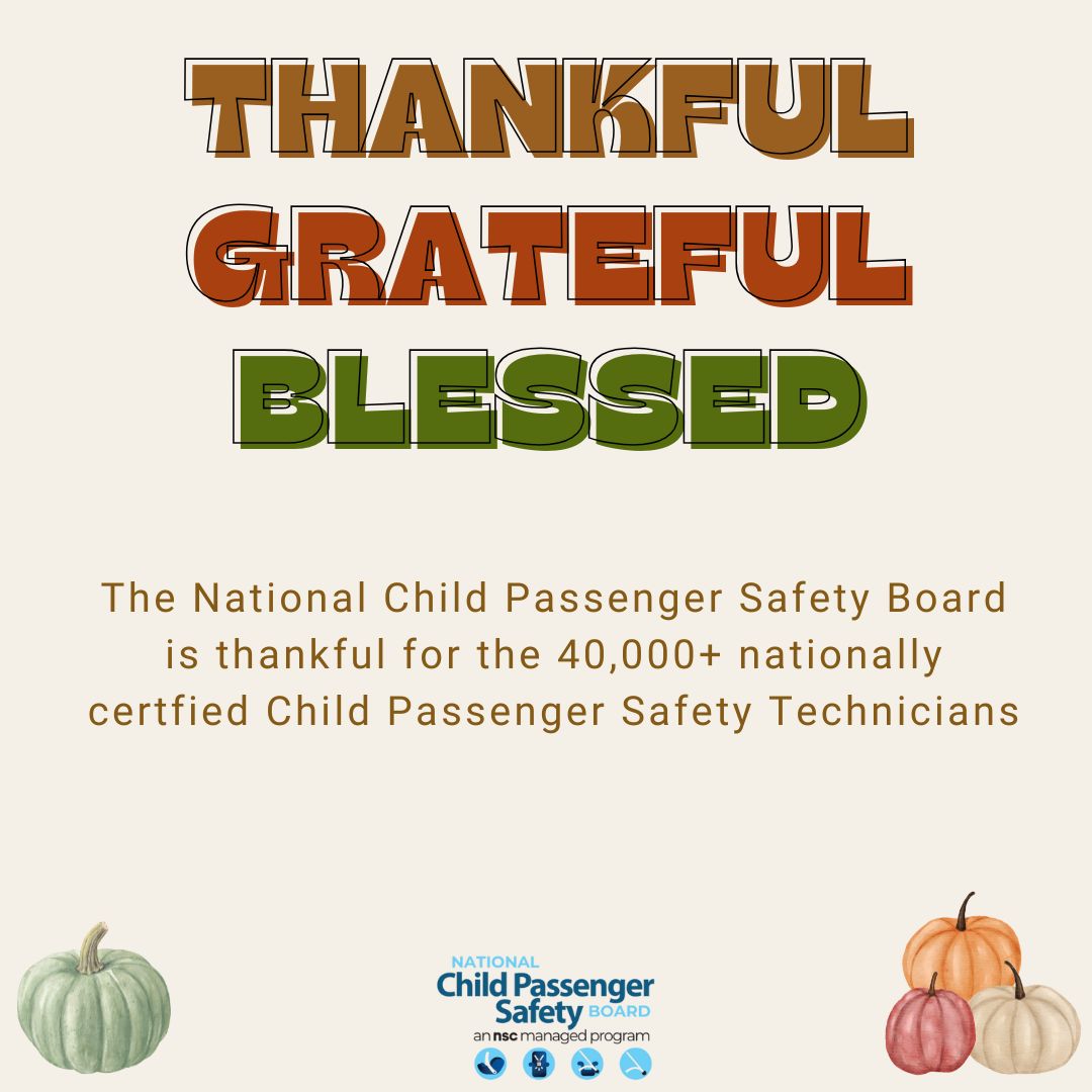 NCPSB's tweet image. We are thankful for the 40,000+ Child Passenger Safety Technicians making a difference in their communities. Join the CPST community and become a Tech: cert.safekids.org/become-tech
#KeepEachOtherSafe #TechsRule #carseat #safety #education #training @NSCsafety