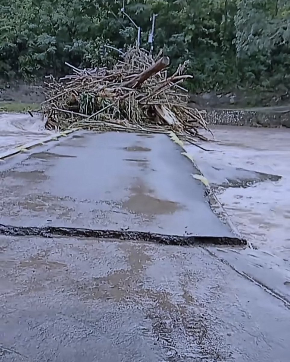 Maria Hitchins tweet media