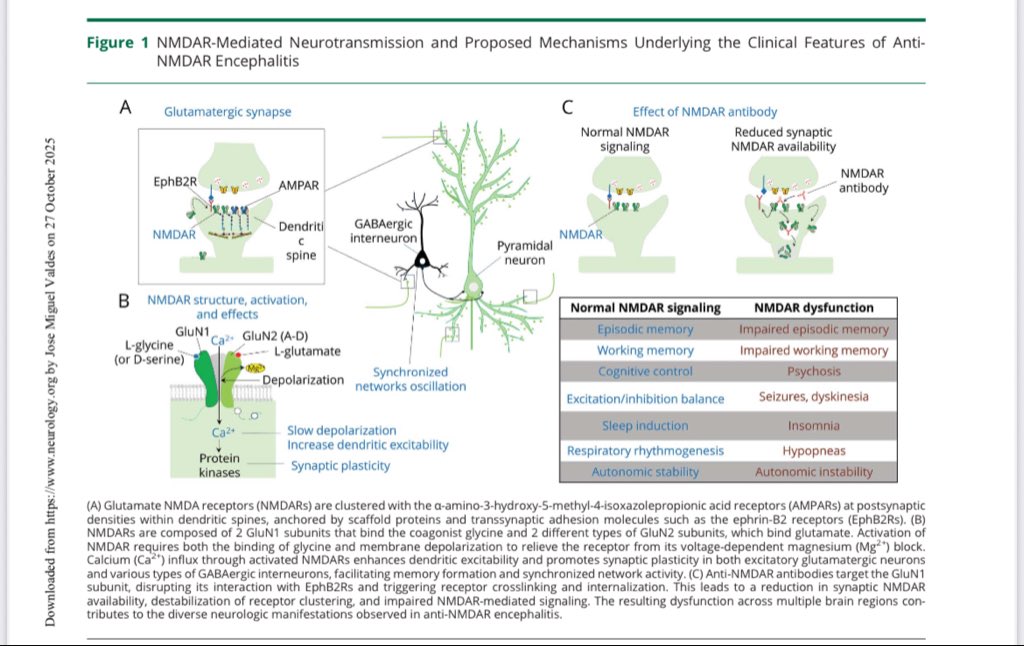 Dr.Fernandezcar tweet media