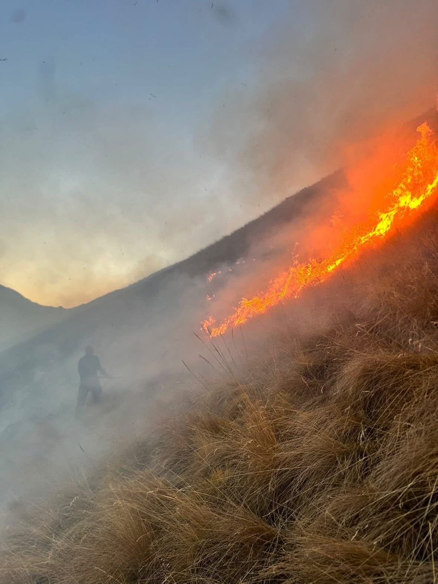 Association Prévention & Signalement Feux De Forêt tweet media