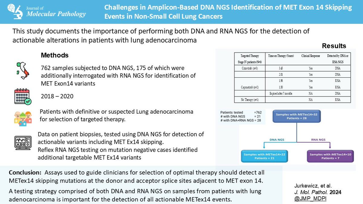 📢 #CallforReading 
🏅#EditorsChoice

✨𝑪𝒉𝒂𝒍𝒍𝒆𝒏𝒈𝒆𝒔 𝒊𝒏 𝑨𝒎𝒑𝒍𝒊𝒄𝒐𝒏-𝑩𝒂𝒔𝒆𝒅 𝑫𝑵𝑨 𝑵𝑮𝑺 𝑰𝒅𝒆𝒏𝒕𝒊𝒇𝒊𝒄𝒂𝒕𝒊𝒐𝒏 𝒐𝒇 𝑴𝑬𝑻 𝑬𝒙𝒐𝒏 14 𝑺𝒌𝒊𝒑𝒑𝒊𝒏𝒈 𝑬𝒗𝒆𝒏𝒕𝒔 𝒊𝒏 #𝑵𝒐𝒏𝑺𝒎𝒂𝒍𝒍𝑪𝒆𝒍𝒍𝑳𝒖𝒏𝒈𝑪𝒂𝒏𝒄𝒆𝒓𝒔✨

🔗 mdpi.com/2673-5261/6/1/5

#JMP