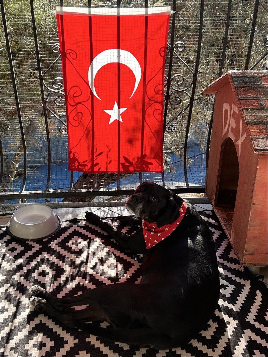 Cumhuriyetimizin 102. yılı kutlu olsun 🇹🇷