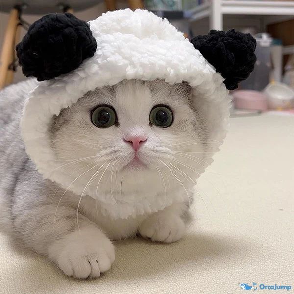 サバトラ毛のニケ 地域のボス猫2仕様🍫🍮🌸🇯🇵 on X