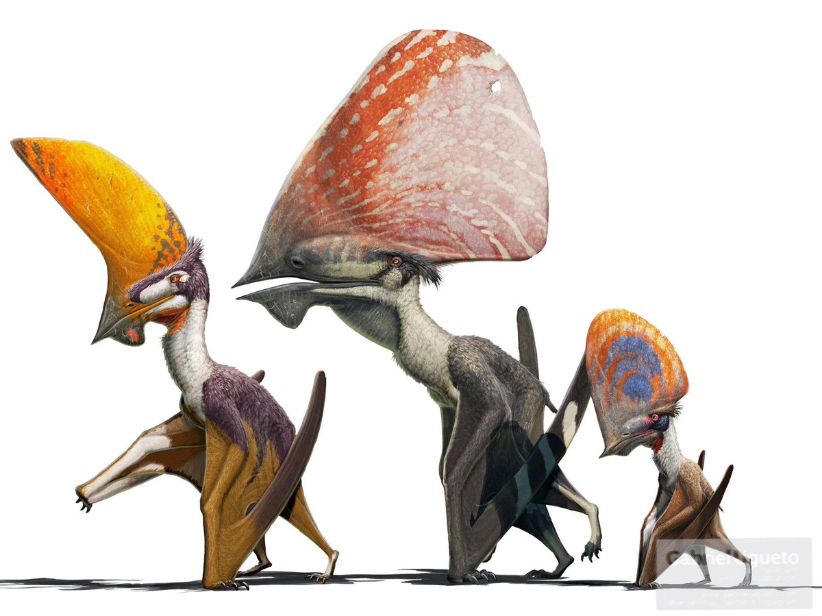 Day 17 of wanting herbivorous tapejarids in JWE3 🦖