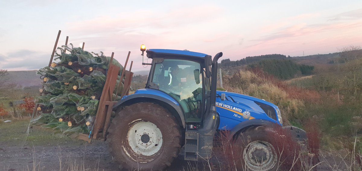 Edenmill Cafe & Soft Play tweet media