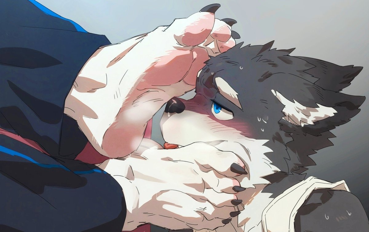 Schell (@schell_uwu) on Twitter photo 