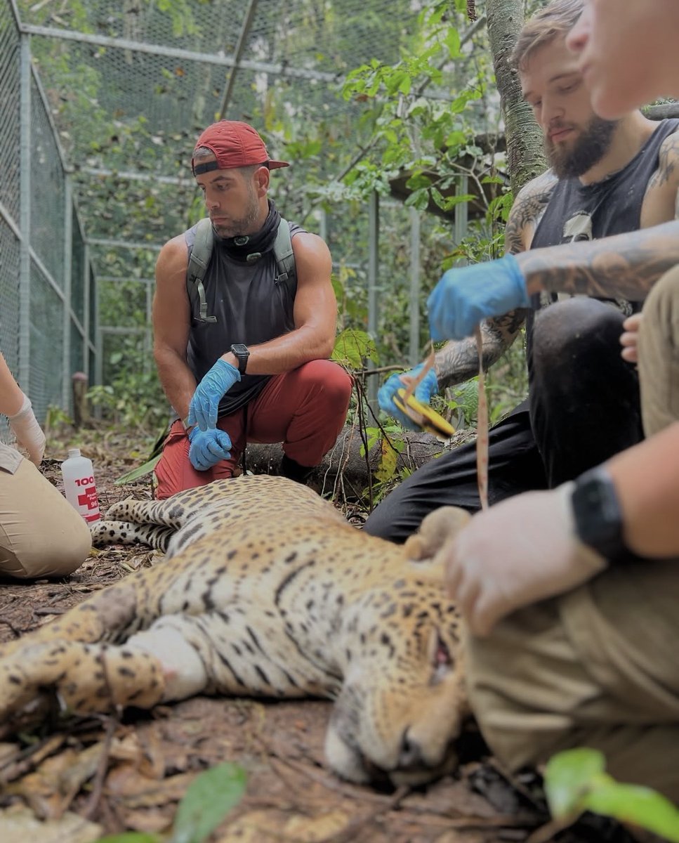 thesosa01's tweet photo. We’re proud to share that our founder, Blake Moynes, has been nominated for the 2025 Worldwide Vets Golden Star Award, honouring those making a real impact for animals and communities worldwide.

Support Blake and SOSA’s mission by voting here: https://t.co/Jau9XYLFSZ https://t.co/2mtMwpBzZ7