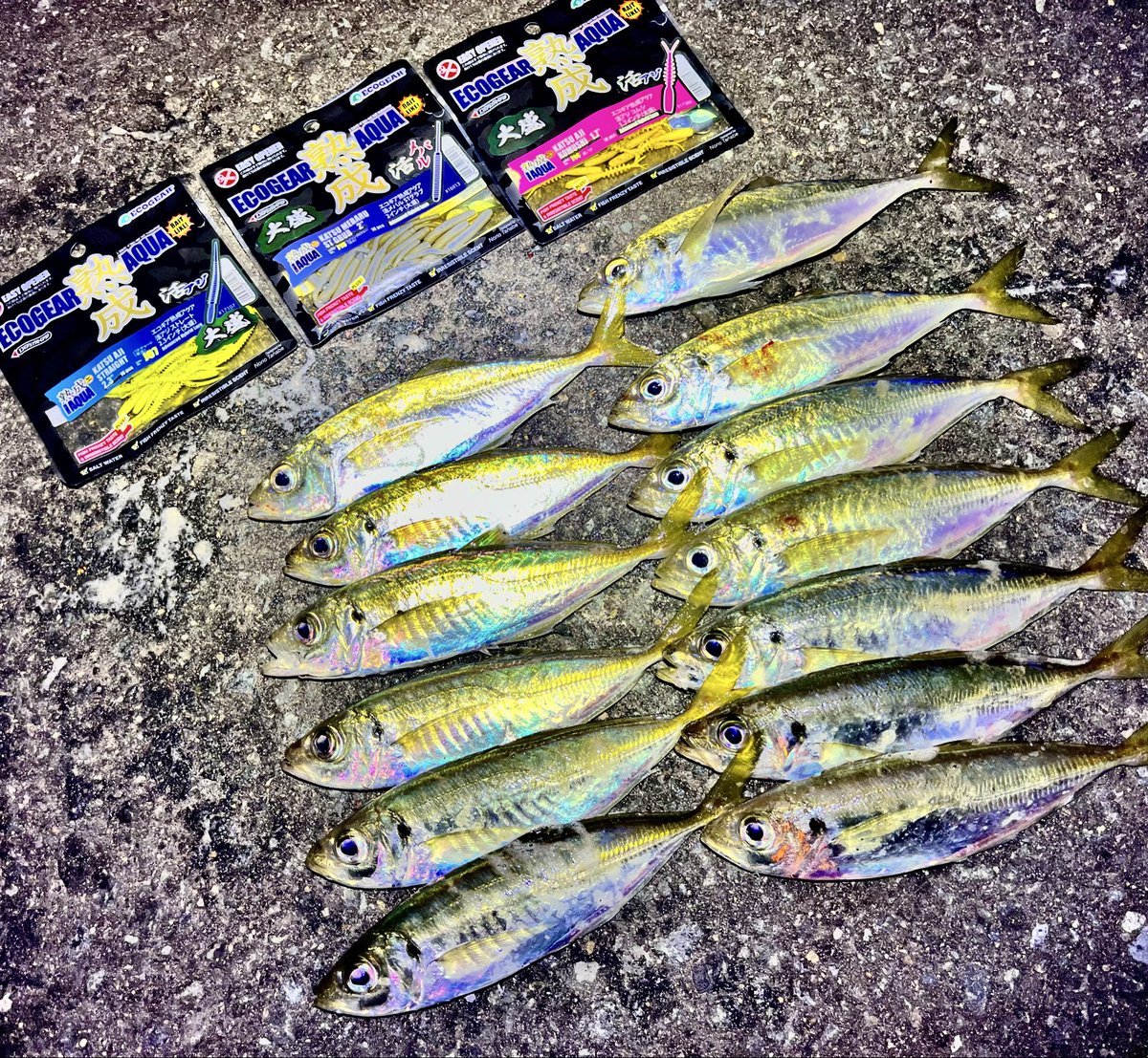 マグロ様　確認用 マグロ用超低温冷凍庫の特徴 | 業務用冷凍庫、マイナス60度の