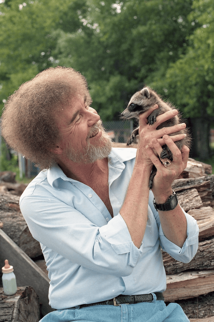 Bob Ross Official tweet media