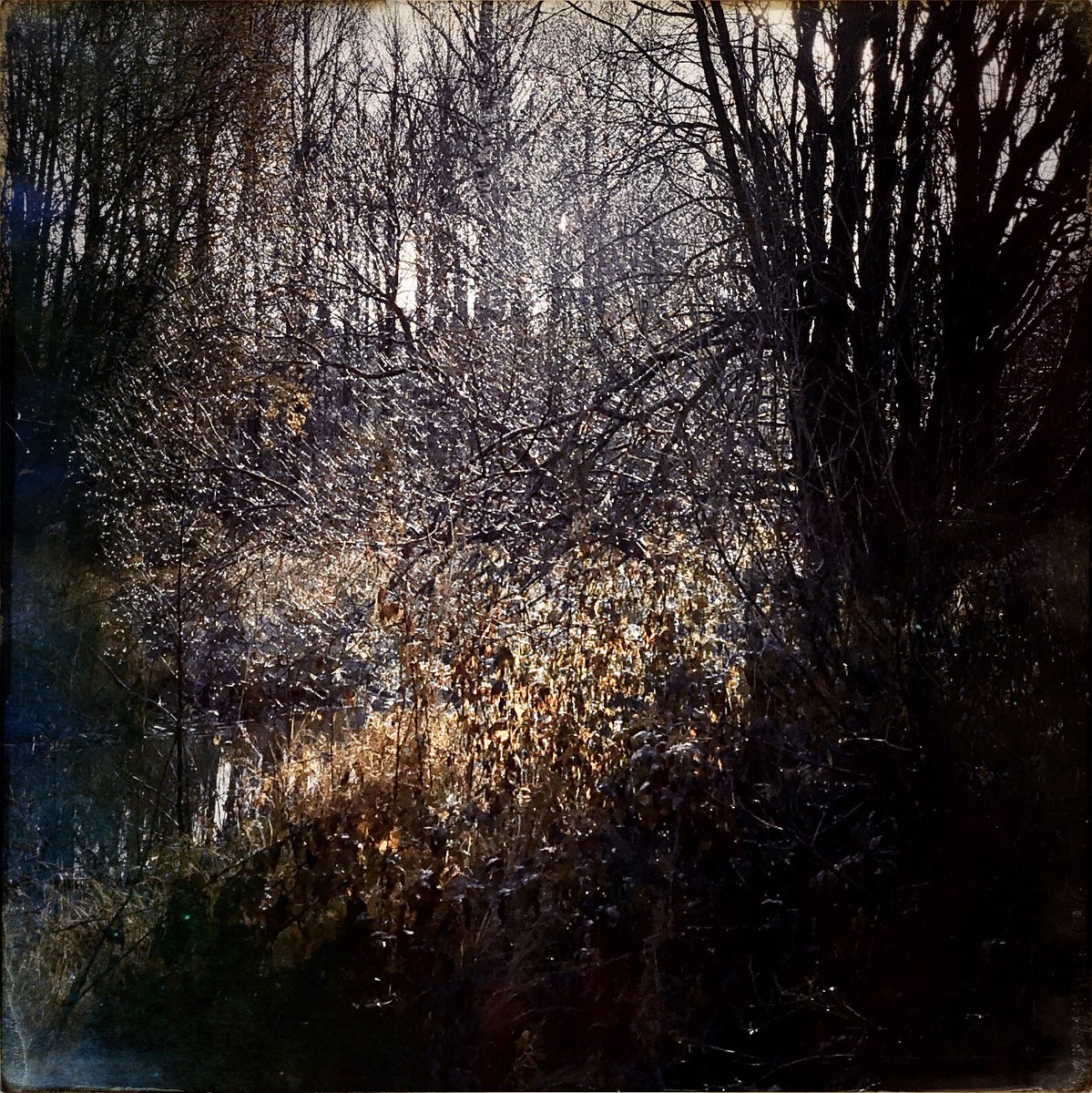 Anne (@annekinnunen1) on Twitter photo 