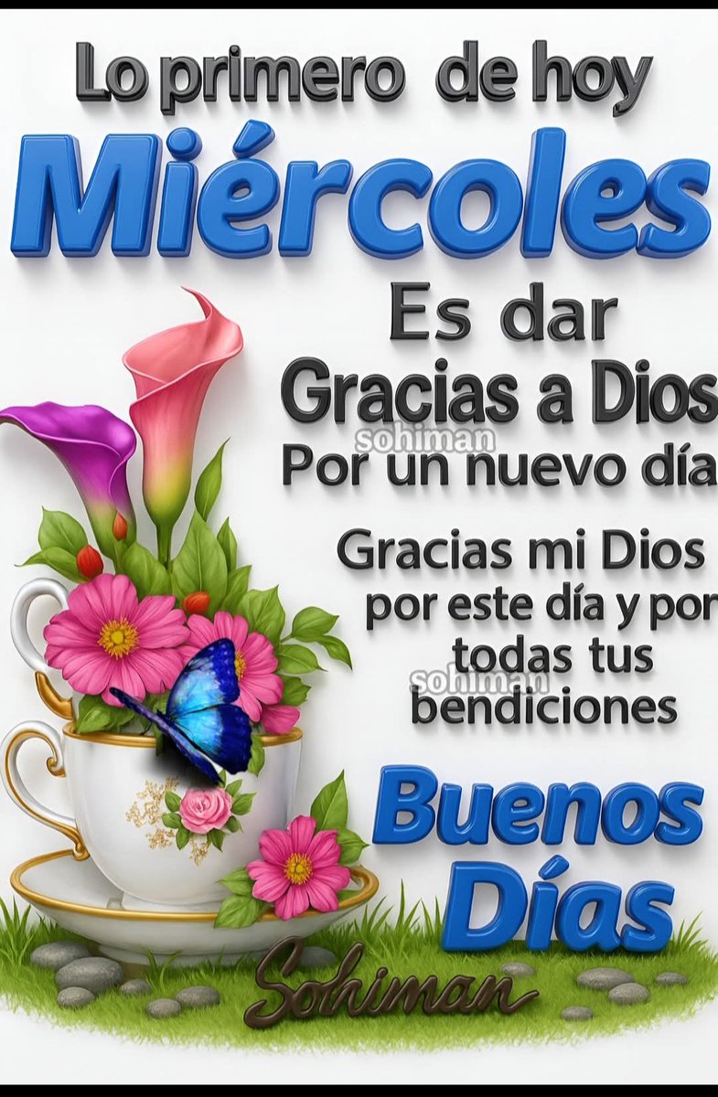 Amigos de todos los días