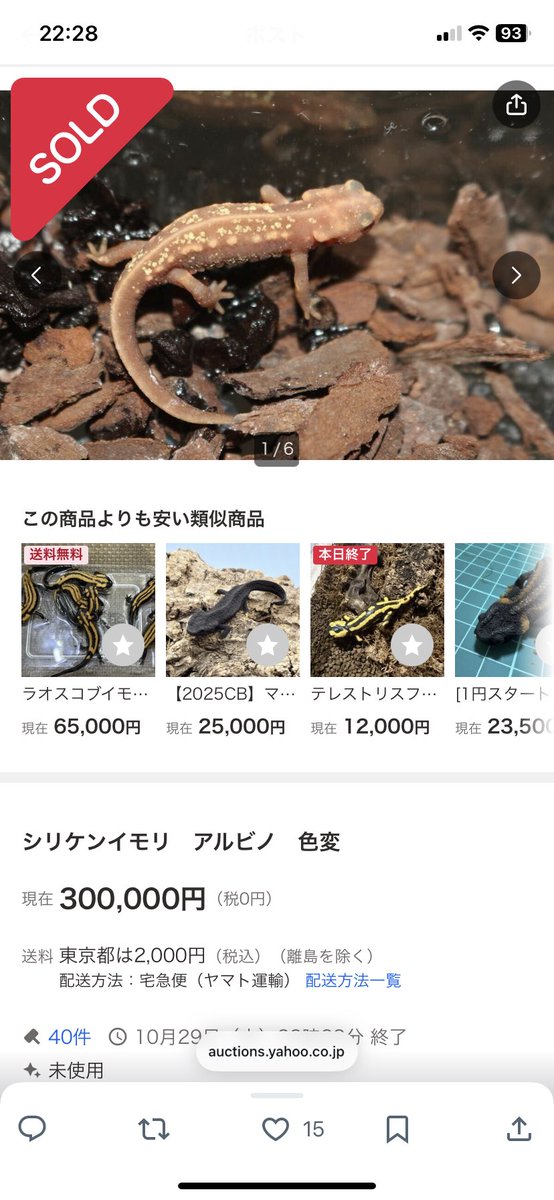 ほげー30まんやて…(　ﾟдﾟ)
終了10分前に一気に10万上がったのはイタズラ入札を疑ったけど、そのあと更に上がってこの価格ですからね、ガチの札束でのシバき合いだったようです。金持ちこえー。
