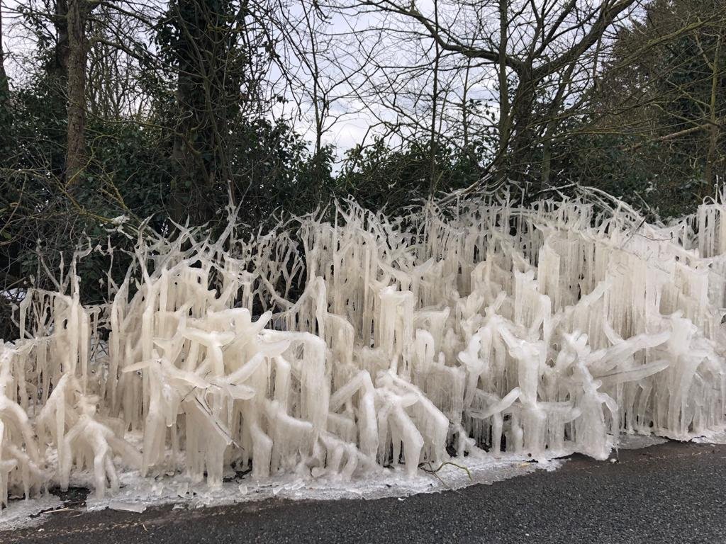 Jimmy Webb. tweet media